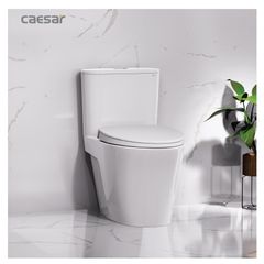Bàn cầu một khối + Nắp rửa điện tử CAESAR C1395F+TAF710H