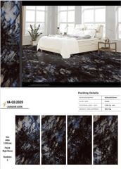 Gạch 60x120 Nhập Khẩu Ấn Độ CD2020