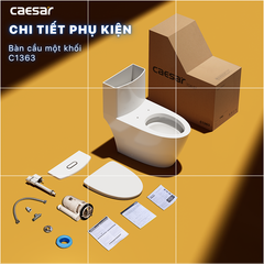 Bàn cầu một khối + Nắp rửa điện tử CAESAR C1363F+TAF512H