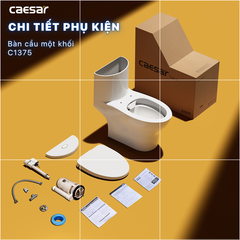 Bàn cầu một khối + Nắp rửa điện tử CAESAR C1375F+TAF512H