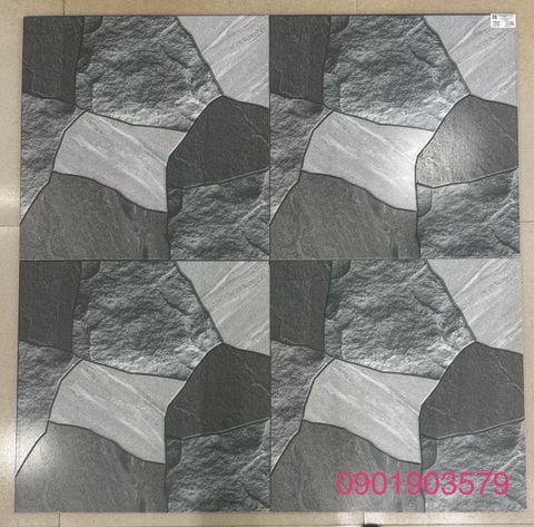 Gạch 50x50 DIC BD5811