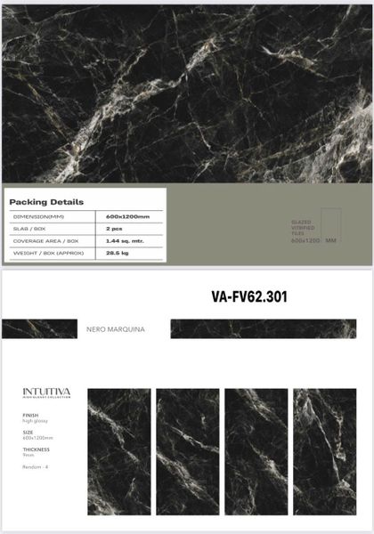 Gạch 60x120 Nhập Khẩu Ấn Độ 62301