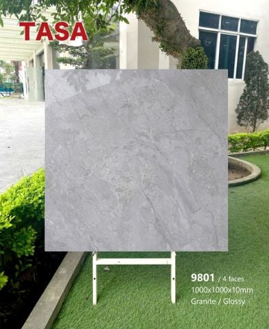 Gạch 100x100 Tasa 9801