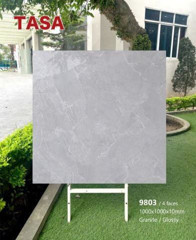 Gạch 100x100 Tasa 9803