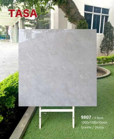 Gạch 100x100 Tasa 9807