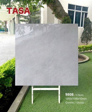 Gạch 100x100 Tasa 9808