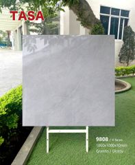 Gạch 100x100 Tasa 9808