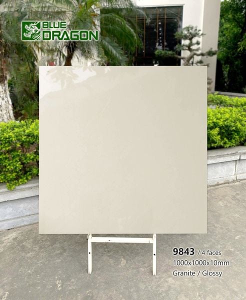 Gạch 100x100 Tasa 9843