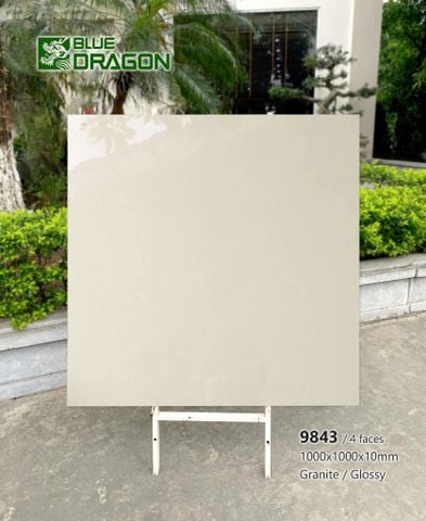 Gạch 100x100 Tasa 9843