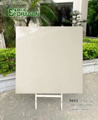Gạch 100x100 Tasa 9843