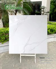 Gạch 100x100 Tasa 9844