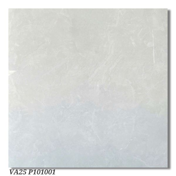 Gạch 100x100 Viglacera VA25 P101001