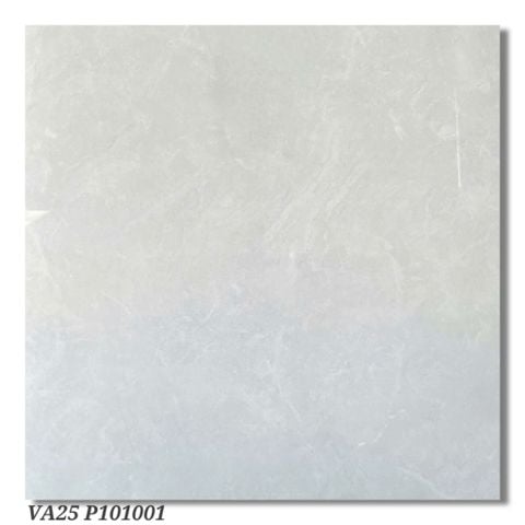 Gạch 100x100 Viglacera VA25 P101001