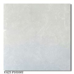Gạch 100x100 Viglacera VA25 P101001