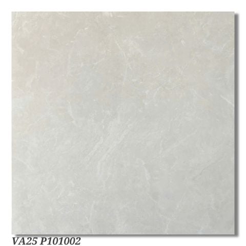 Gạch 100x100 Viglacera VA25 P101002