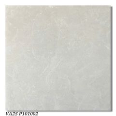 Gạch 100x100 Viglacera VA25 P101002