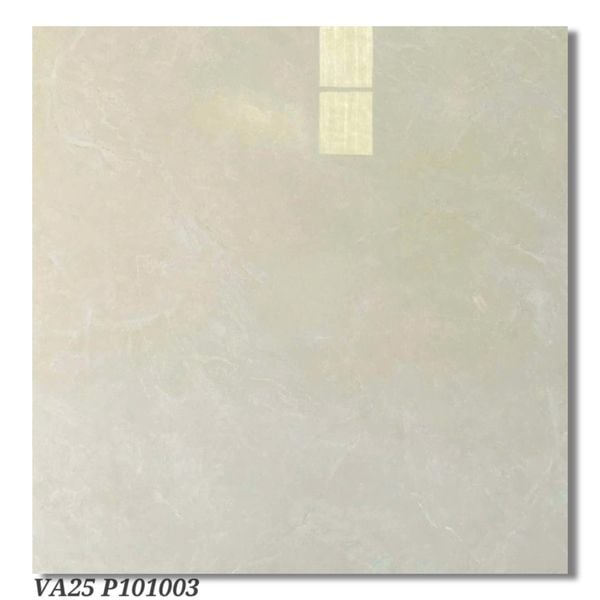 Gạch 100x100 Viglacera VA25 P101003