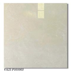 Gạch 100x100 Viglacera VA25 P101003