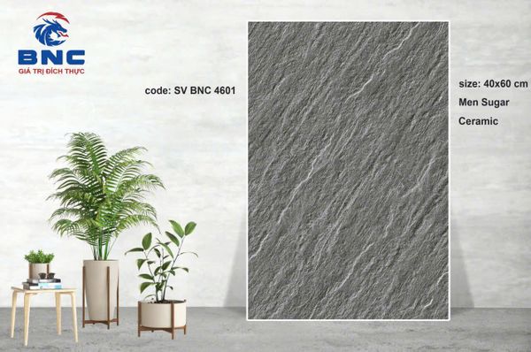 Gạch 40x60 BNC 4601