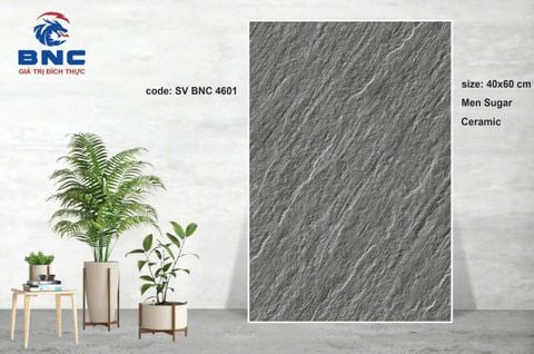 Gạch 40x60 BNC 4601