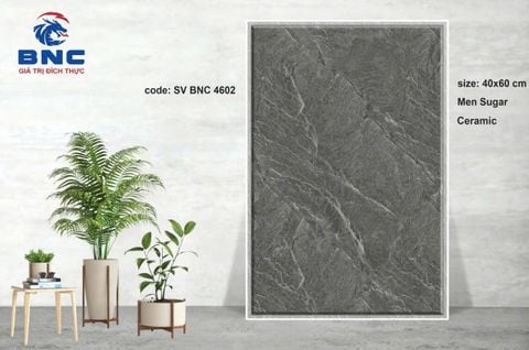 Gạch 40x60 BNC 4602