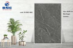 Gạch 40x60 BNC 4602