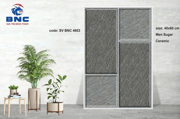 Gạch 40x60 BNC 4603