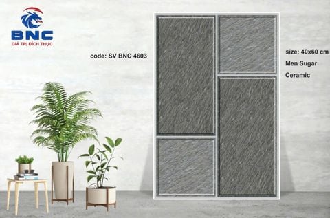 Gạch 40x60 BNC 4603
