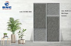 Gạch 40x60 BNC 4603