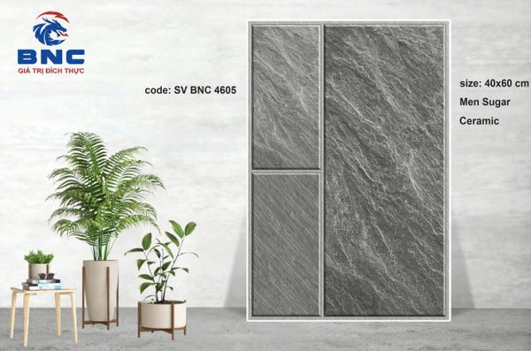 Gạch 40x60 BNC 4605