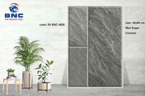 Gạch 40x60 BNC 4605