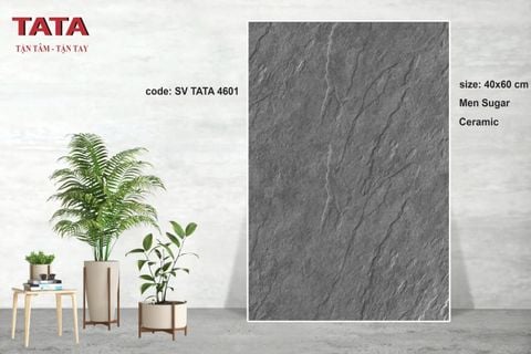 Gạch 40x60 BNC TATA 4601