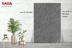 Gạch 40x60 BNC TATA 4601