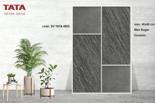 Gạch 40x60 BNC TATA 4603