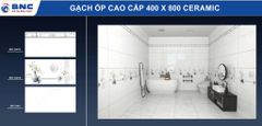 Gạch 40x80 BNC 8401 8401D 8401V