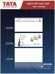 Gạch 40x80 BNC 8402 8402D 8402V