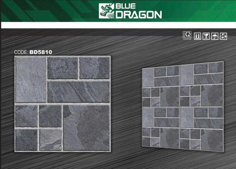 Gạch 50x50 DIC BD5810