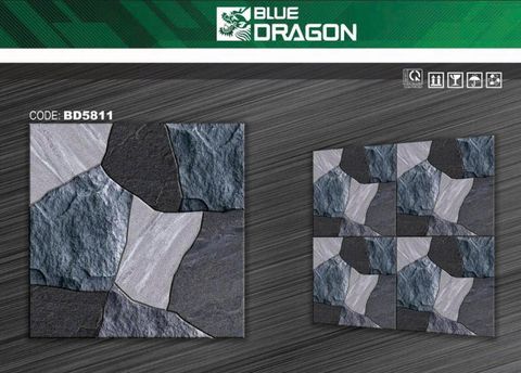 Gạch 50x50 DIC BD5811