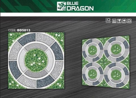 Gạch 50x50 DIC BD5813