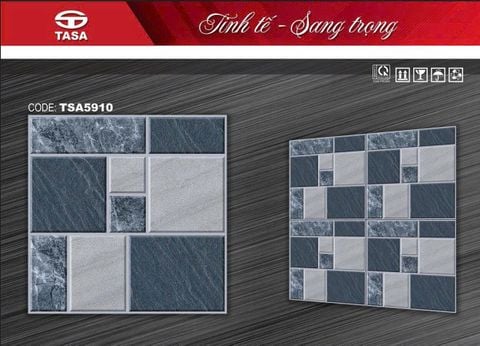 Gạch 50x50 DIC TSA5910