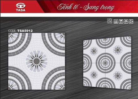 Gạch 50x50 DIC TSA5912