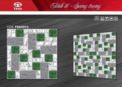 Gạch 50x50 DIC TSA5913