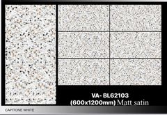 Gạch 60x120 Nhập Khẩu Ấn Độ BL62103