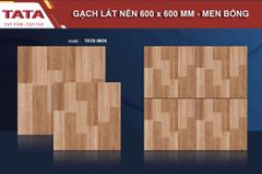 Gạch 60x60 BNC TATA 6604