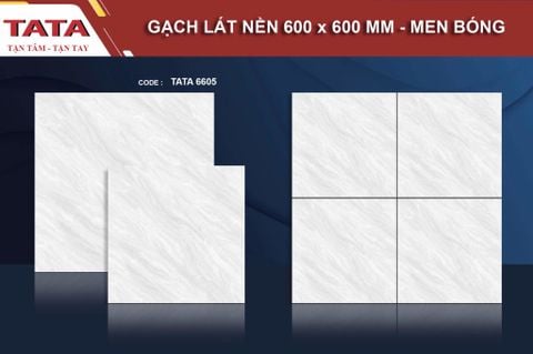 Gạch 60x60 BNC TATA 6605