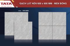 Gạch 60x60 BNC TATA 6606