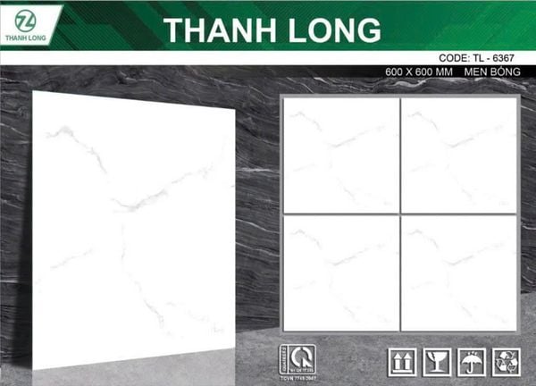 Gạch 60x60 DIC 6367