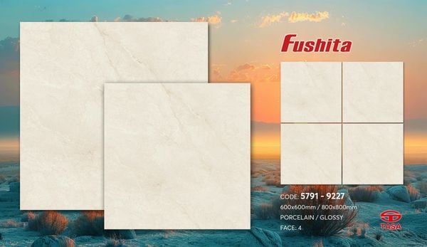 Gạch 60x60 Tasa 5791