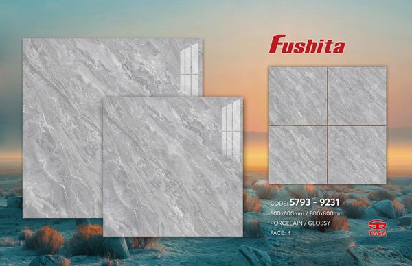 Gạch 60x60 Tasa 5793