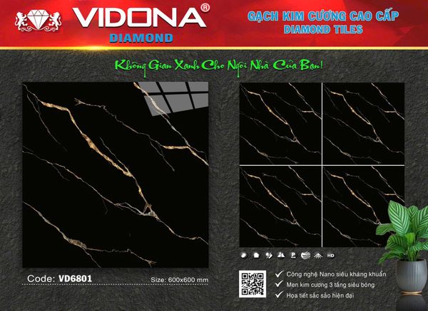 Gạch 60x60 Vidona VD6801